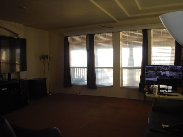 living room with plenty of natural light