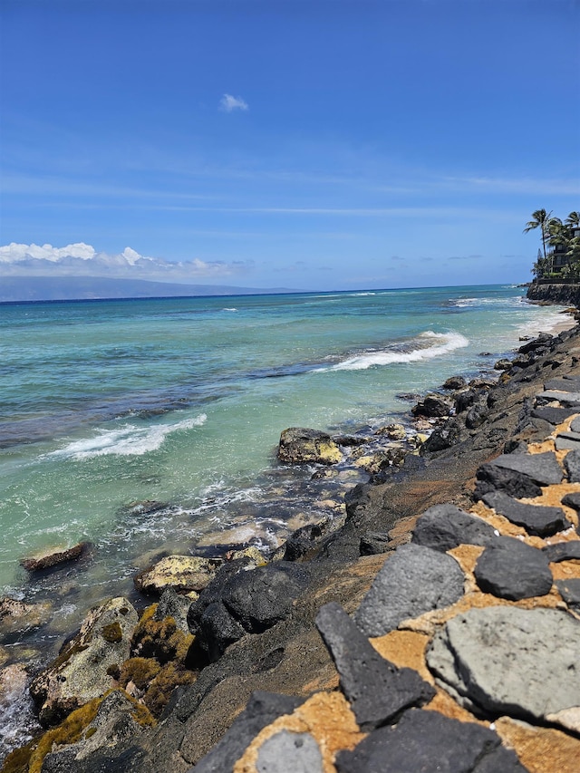 3785 Lower Honoapiilani Rd Unit 103, Lahaina, HI 96761 - water view