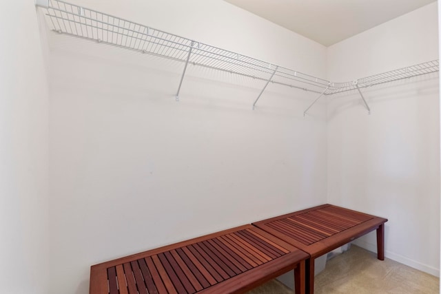 28 Hauwahine Ln Unit F203, Kihei, HI 96753 - walk in closet with light carpet