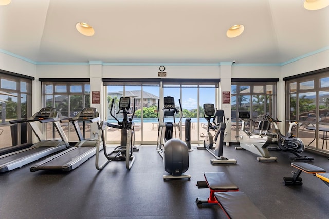 28 Hauwahine Ln Unit F203, Kihei, HI 96753 - exercise room with plenty of natural light, crown molding, lofted ceiling, and recessed lighting