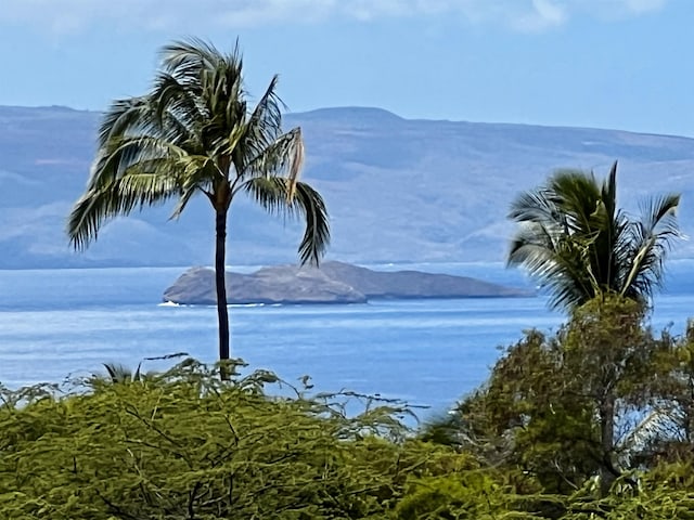 10 Halapa Pl Unit 9, Kihei HI, 96753 land for sale