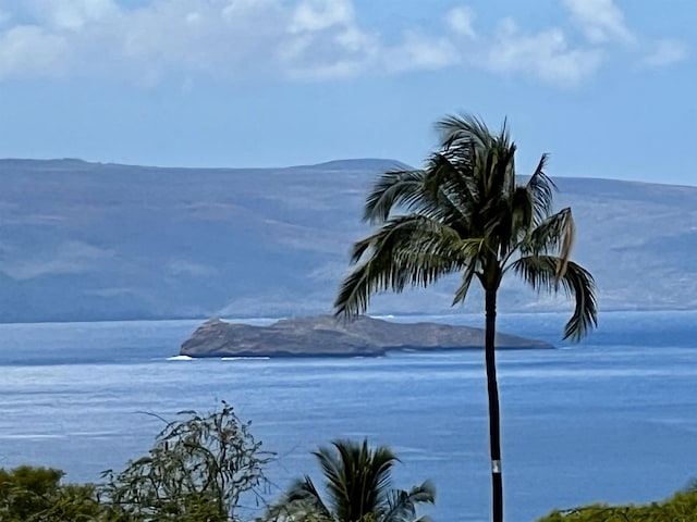 Listing photo 3 for 10 Halapa Pl Unit 9, Kihei HI 96753