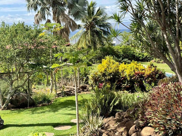 view of community featuring a yard