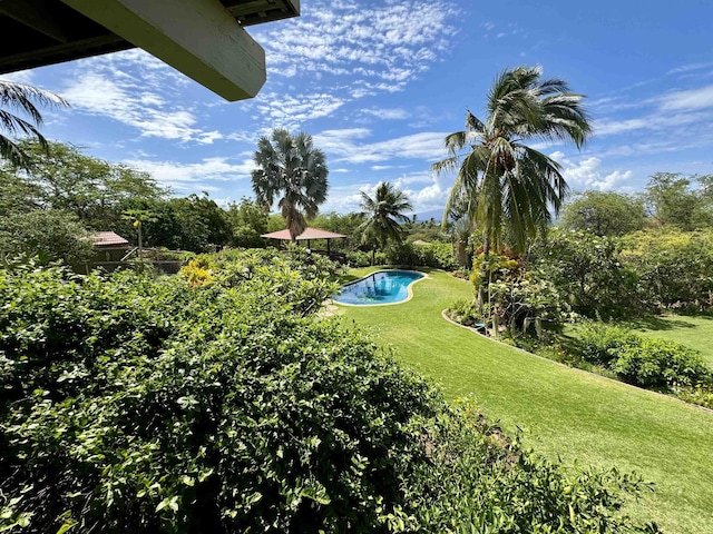 view of grassy yard featuring an outdoor pool