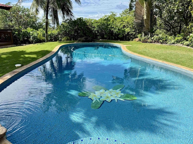 swimming pool with a lawn