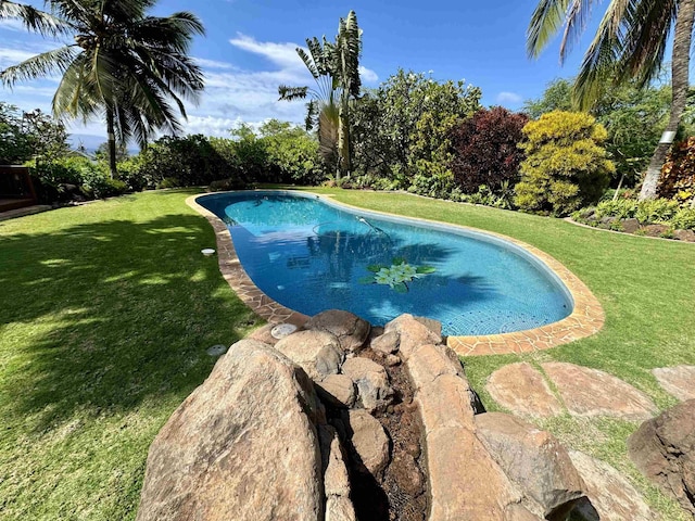 outdoor pool with a lawn