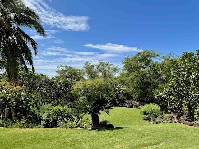 view of green lawn