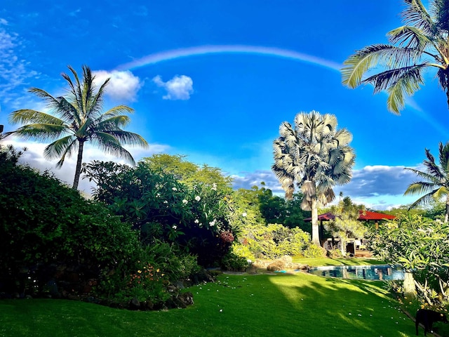 view of green lawn