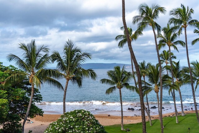 water view with a beach view