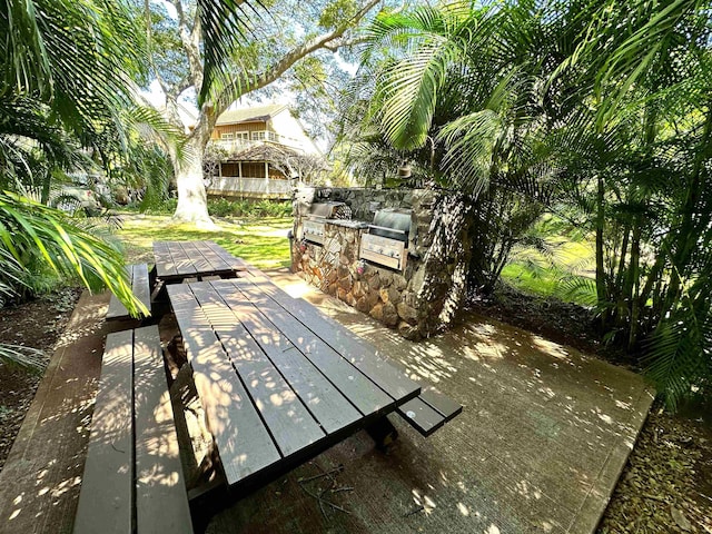 view of patio / terrace with grilling area and area for grilling