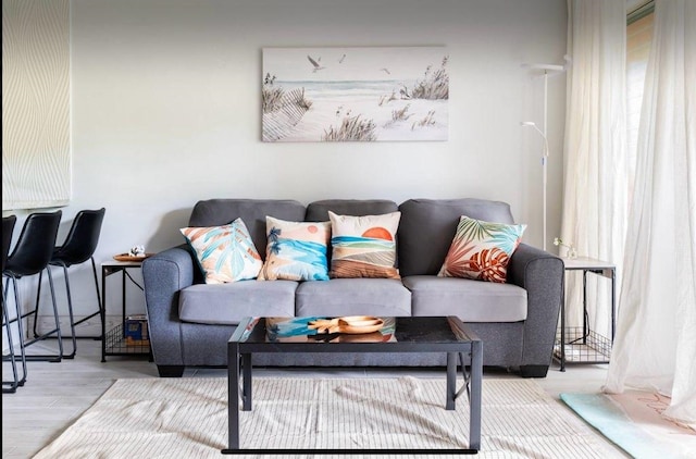 living room with hardwood / wood-style flooring