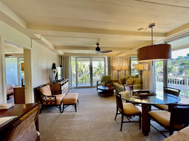 dining area with ceiling fan, beam ceiling, and carpet floors