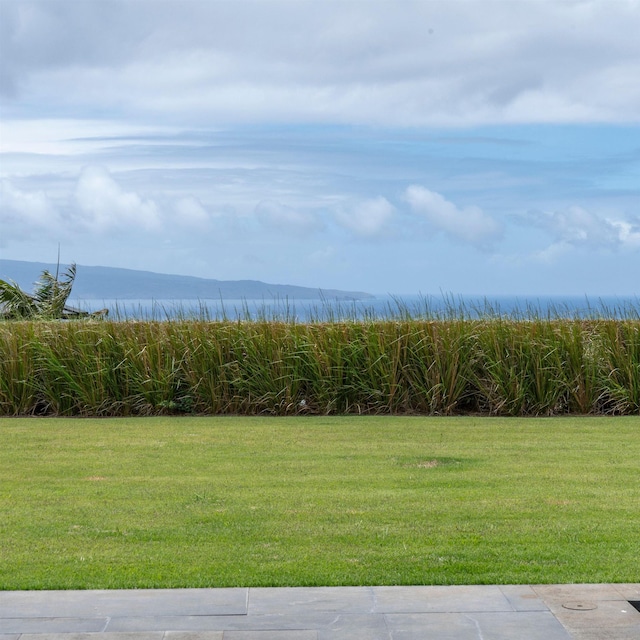 715 Laulama Pl Unit 45, Lahaina, HI 96761 - view of grassy yard featuring a water view