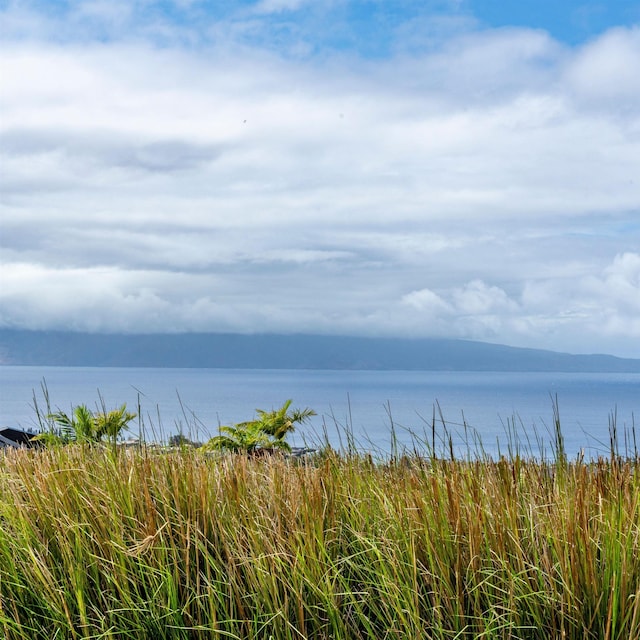 715 Laulama Pl Unit 45, Lahaina, HI 96761 - water view