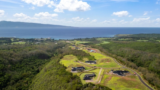 715 Laulama Pl Unit 45, Lahaina, HI 96761 - bird's eye view of a heavily wooded area and a nearby body of water