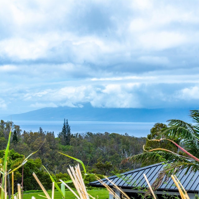 715 Laulama Pl Unit 45, Lahaina, HI 96761 - view of yard with a water view
