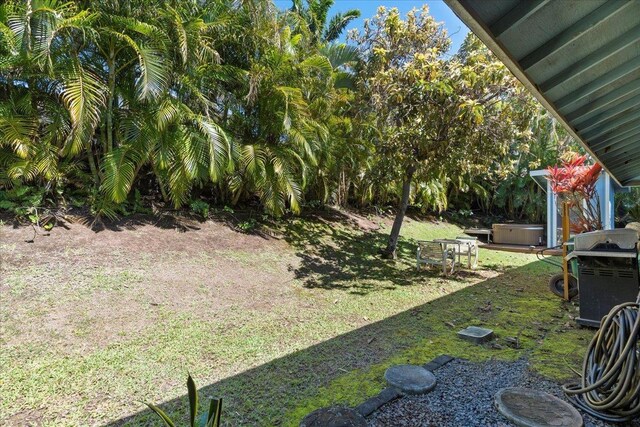 view of yard with a hot tub