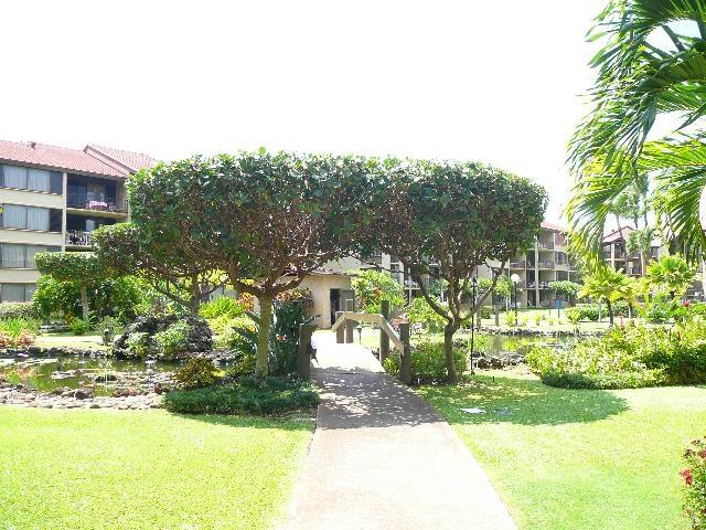 surrounding community with a lawn