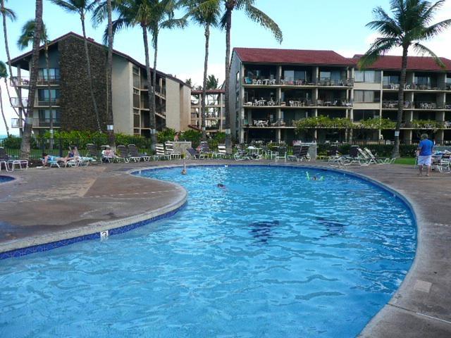 pool featuring a patio area