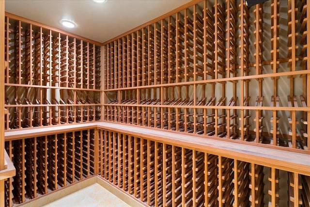 view of wine cellar