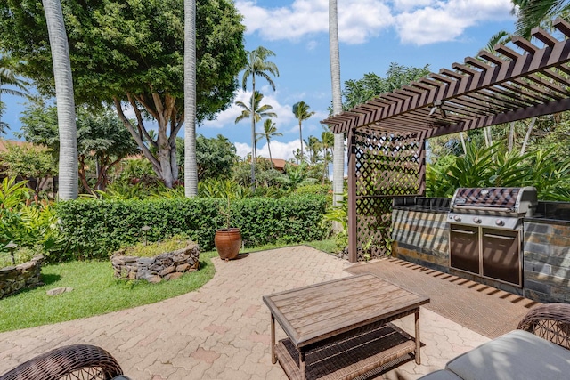 view of patio / terrace with a pergola, area for grilling, and grilling area