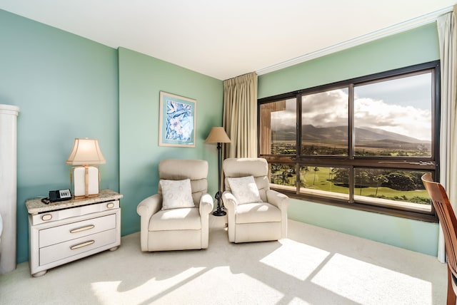 sitting room featuring light colored carpet