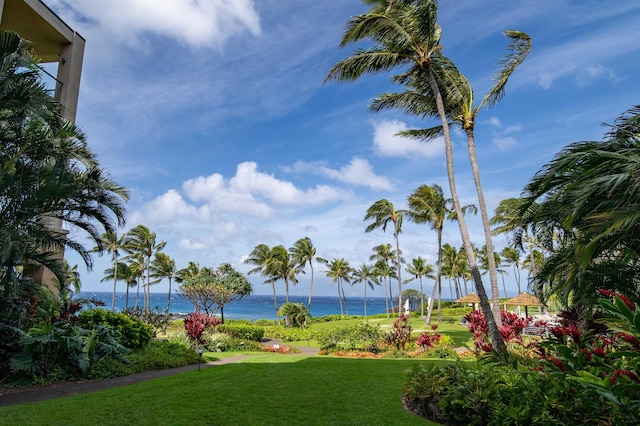 1 Bay Dr Unit 1204, Lahaina, HI 96761 - view of grassy yard with a water view