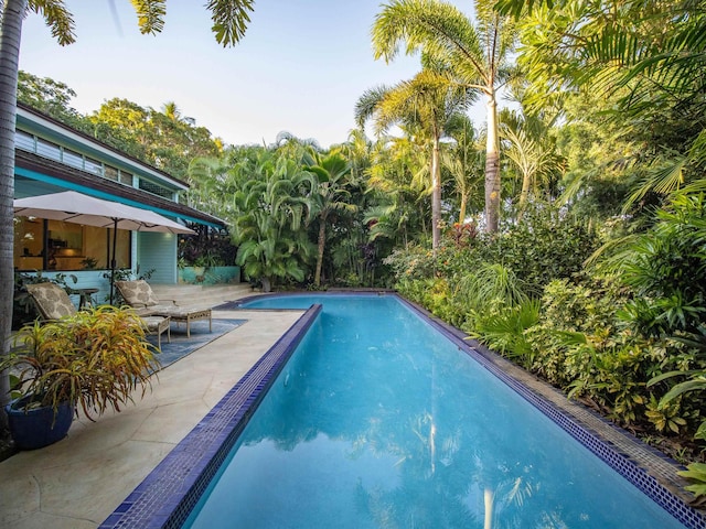 view of pool with a patio