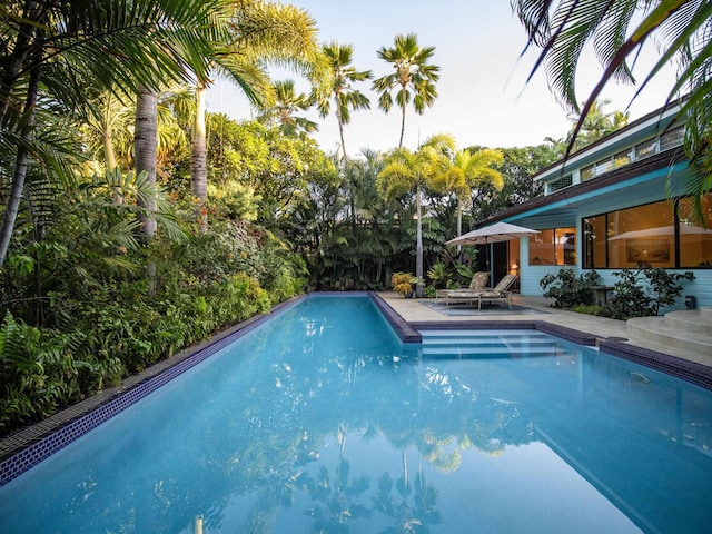 view of swimming pool featuring a patio area