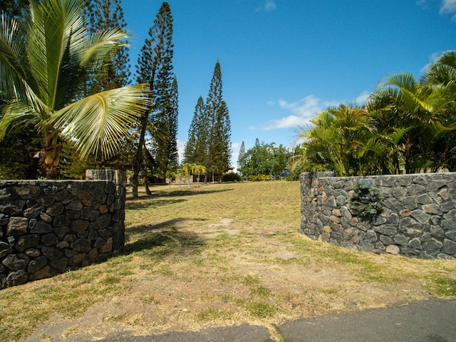 view of yard