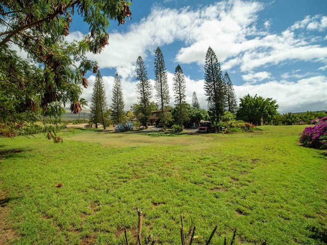 view of home's community with a lawn