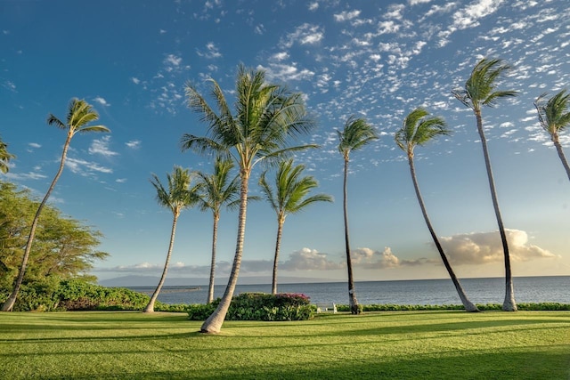 view of property's community featuring a water view and a lawn