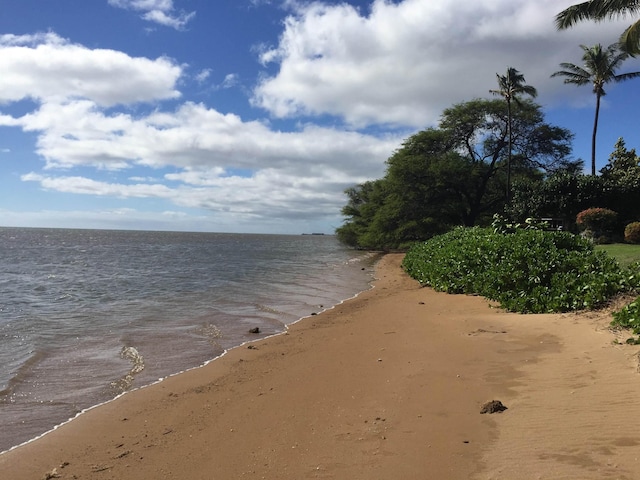 water view featuring a view of the beach