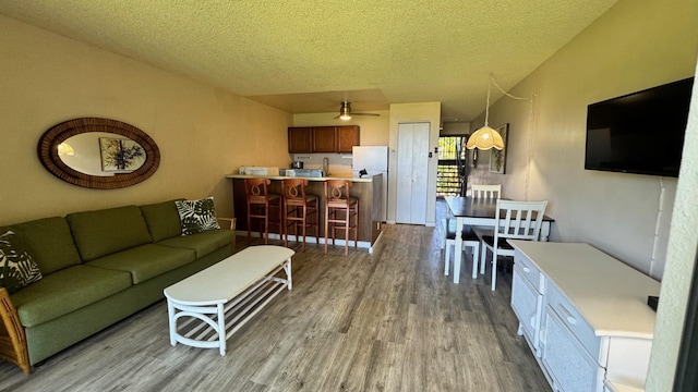 living room with wood-type flooring, ceiling fan, and a textured ceiling