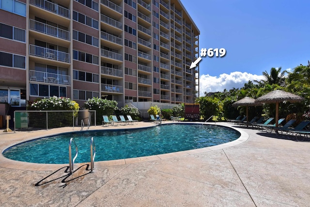 view of swimming pool