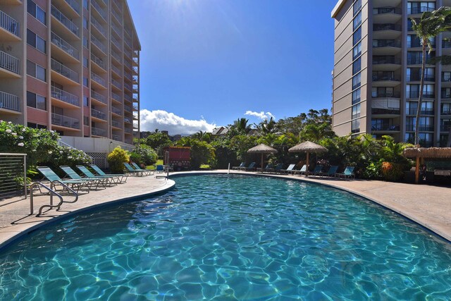 view of swimming pool