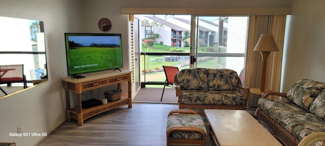 living room featuring dark wood-type flooring