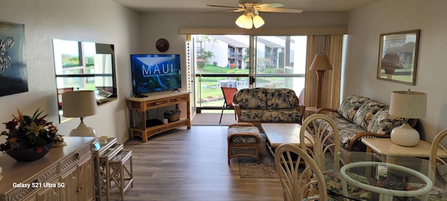 living room featuring hardwood / wood-style flooring and ceiling fan