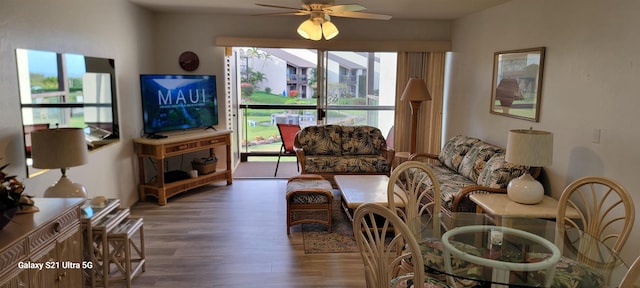 living room featuring dark wood-type flooring and ceiling fan