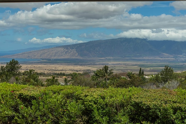 1195 Omaopio Rd Unit A, Kula, HI 96790 - view of mountain background