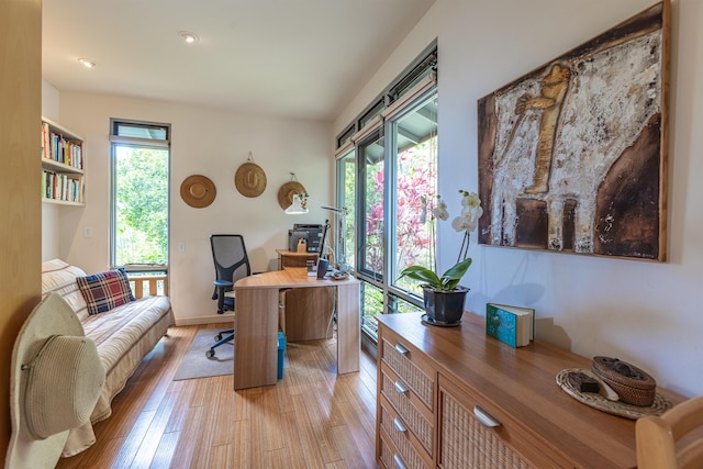 1195 Omaopio Rd Unit A, Kula, HI 96790 - office space with light wood finished floors and recessed lighting