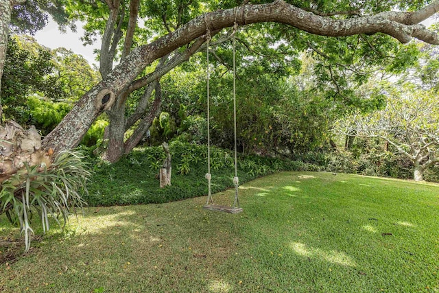1195 Omaopio Rd Unit A, Kula, HI 96790 - view of grassy yard