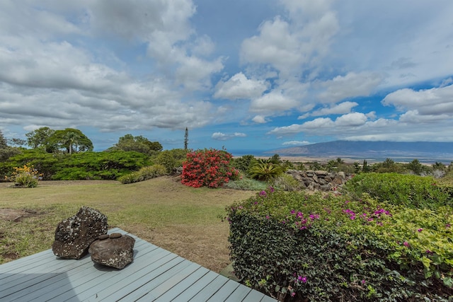 1195 Omaopio Rd Unit A, Kula, HI 96790 - view of grassy yard with a mountain view