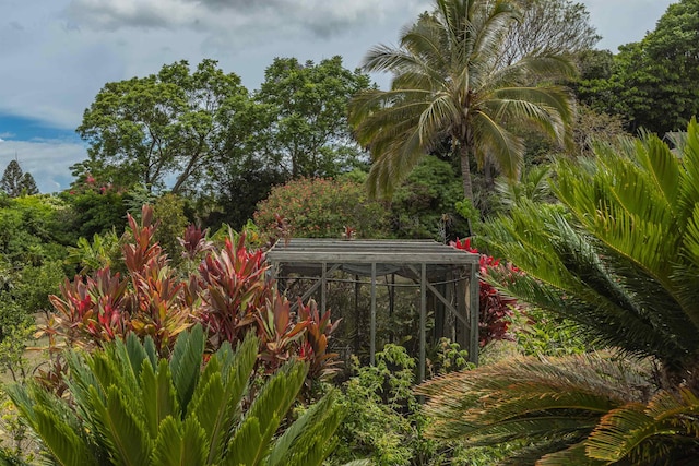 1195 Omaopio Rd Unit A, Kula, HI 96790 - view of yard
