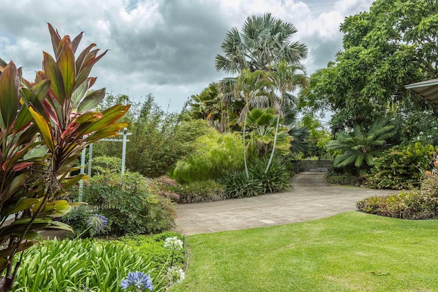 1195 Omaopio Rd Unit A, Kula, HI 96790 - view of grassy yard