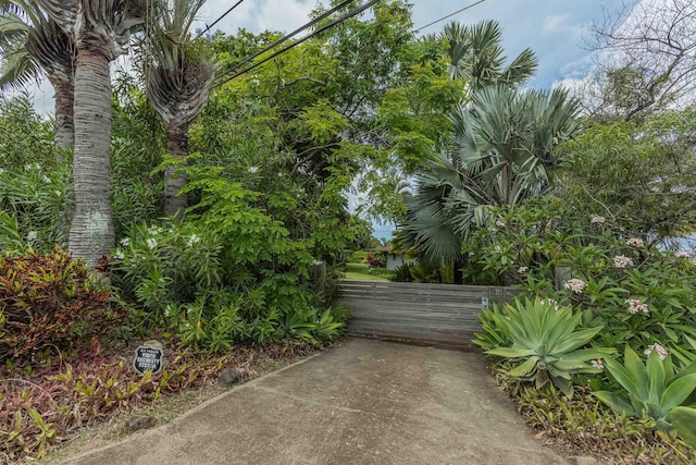 1195 Omaopio Rd Unit A, Kula, HI 96790 - view of patio with a gate
