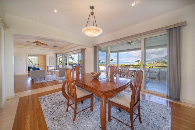 dining space with ceiling fan and light hardwood / wood-style flooring