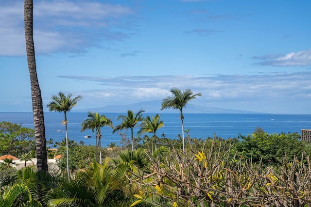 view of water view