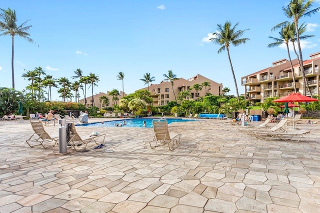 view of pool featuring a patio