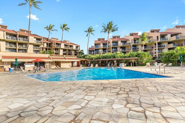 view of swimming pool with a patio area